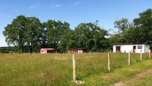 Ländliche Landschaft mit einem eingezäunten Feld, einem Feldweg und zwei kleinen Gebäuden mit roten Dächern.