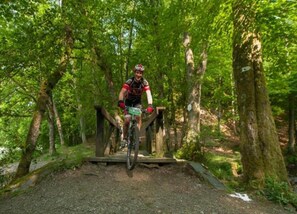 Cottage | Vue depuis l’hébergement