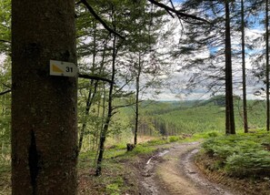 Cottage | Vue depuis l’hébergement