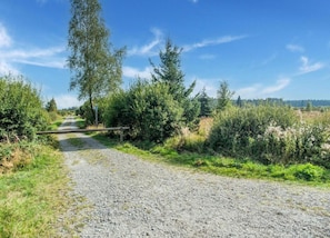 En grussti der snor sig gennem et naturområde med træer og buske.