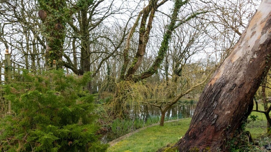 Holiday Home in Ceredigion Near Seashore