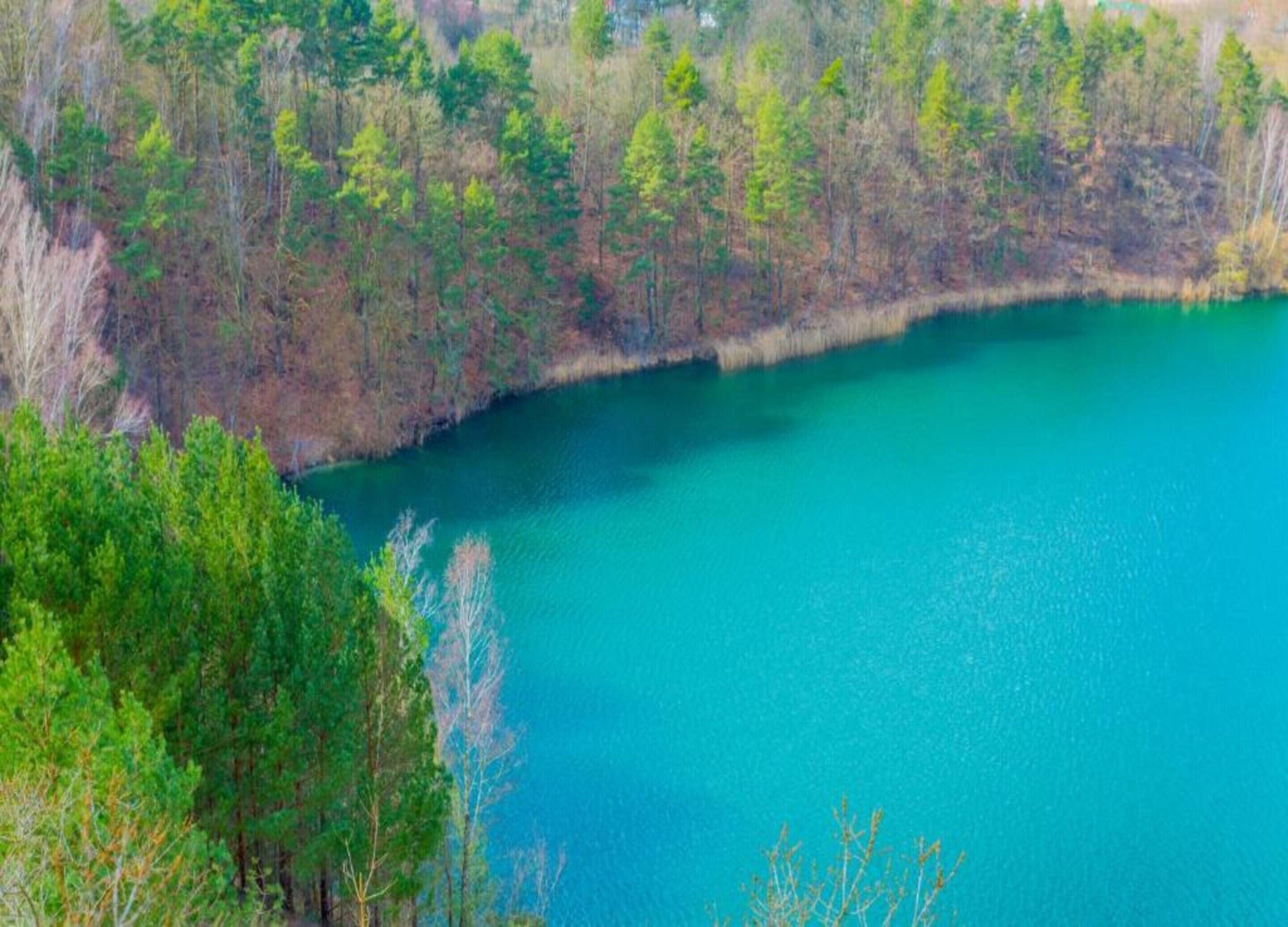 A lake surrounded by dense forest.