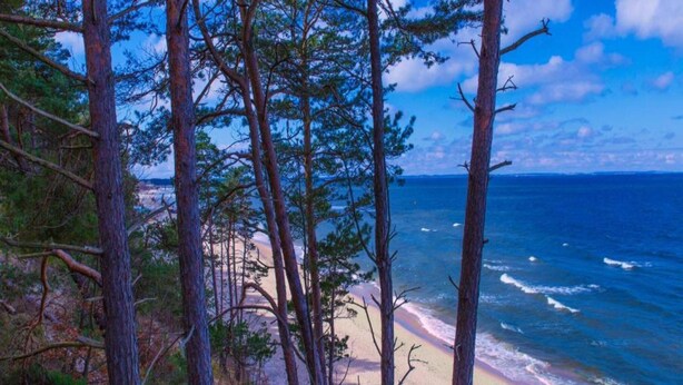 Bungalow | View from property - Bungalow in Miedzyzdroje Near the Beach (Międzyzdroje)