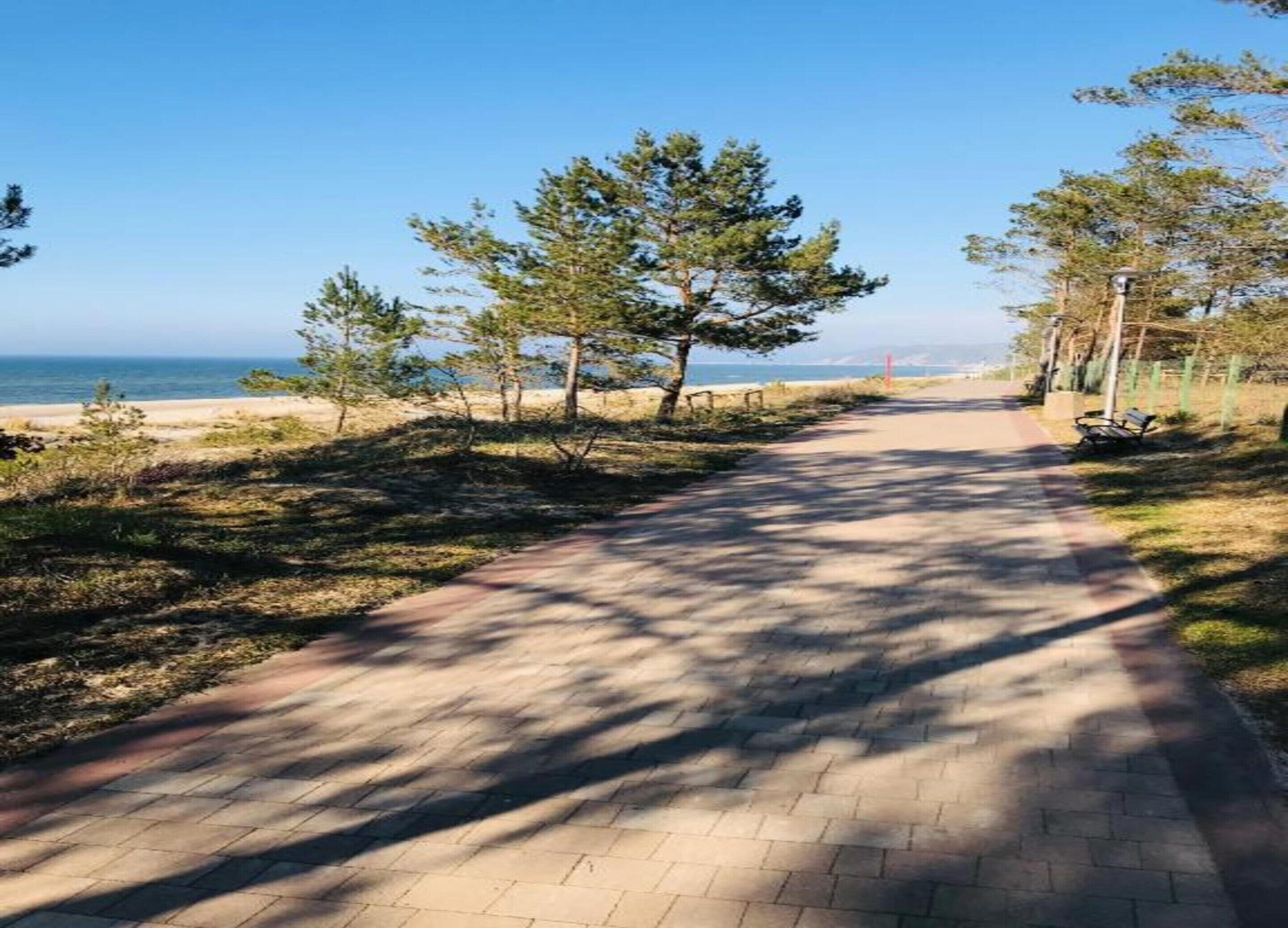 A paved pathway leading to a beach with trees and a bench on the right.