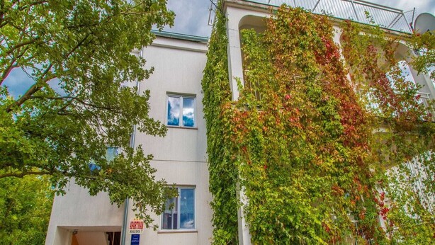Uklassifisert bilde, 1 av 29, knapp