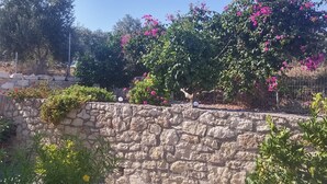 Muro de piedra con un jardín que incluye diversas plantas y flores.
