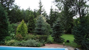 Et rektangulært swimmingpool med fliseterrasse, omgivet af frodig vegetation og træer.
