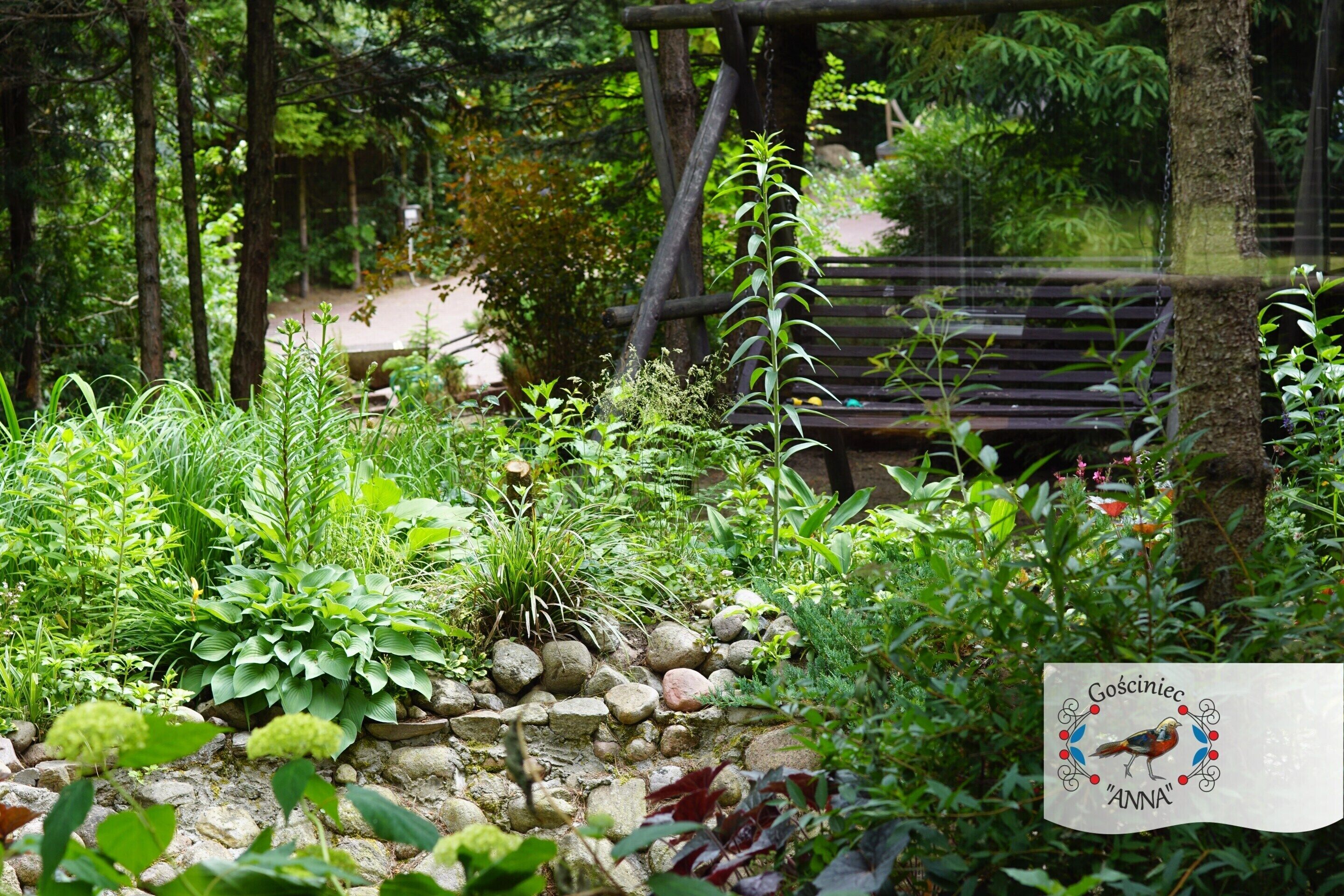 A garden with various plants, a wooden bench, and a sign with a bird and the name "Anna".