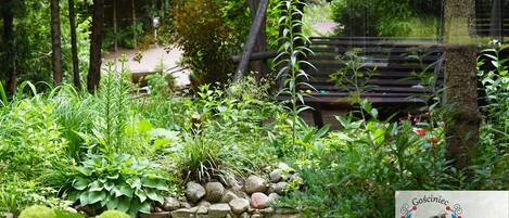 A garden with various plants, a wooden bench, and a sign with a bird and the name "Anna".