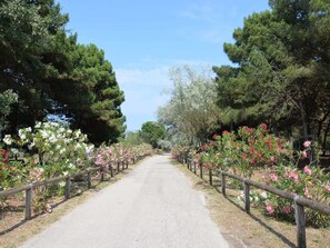 A paved pathway flanked by wooden fences and flowering plants, leading through a wooded area. - Comfy Stay by Po Delta Park (Comacchio)