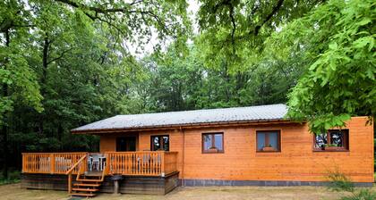 Tranquil Chalet With Sauna in Beauraing