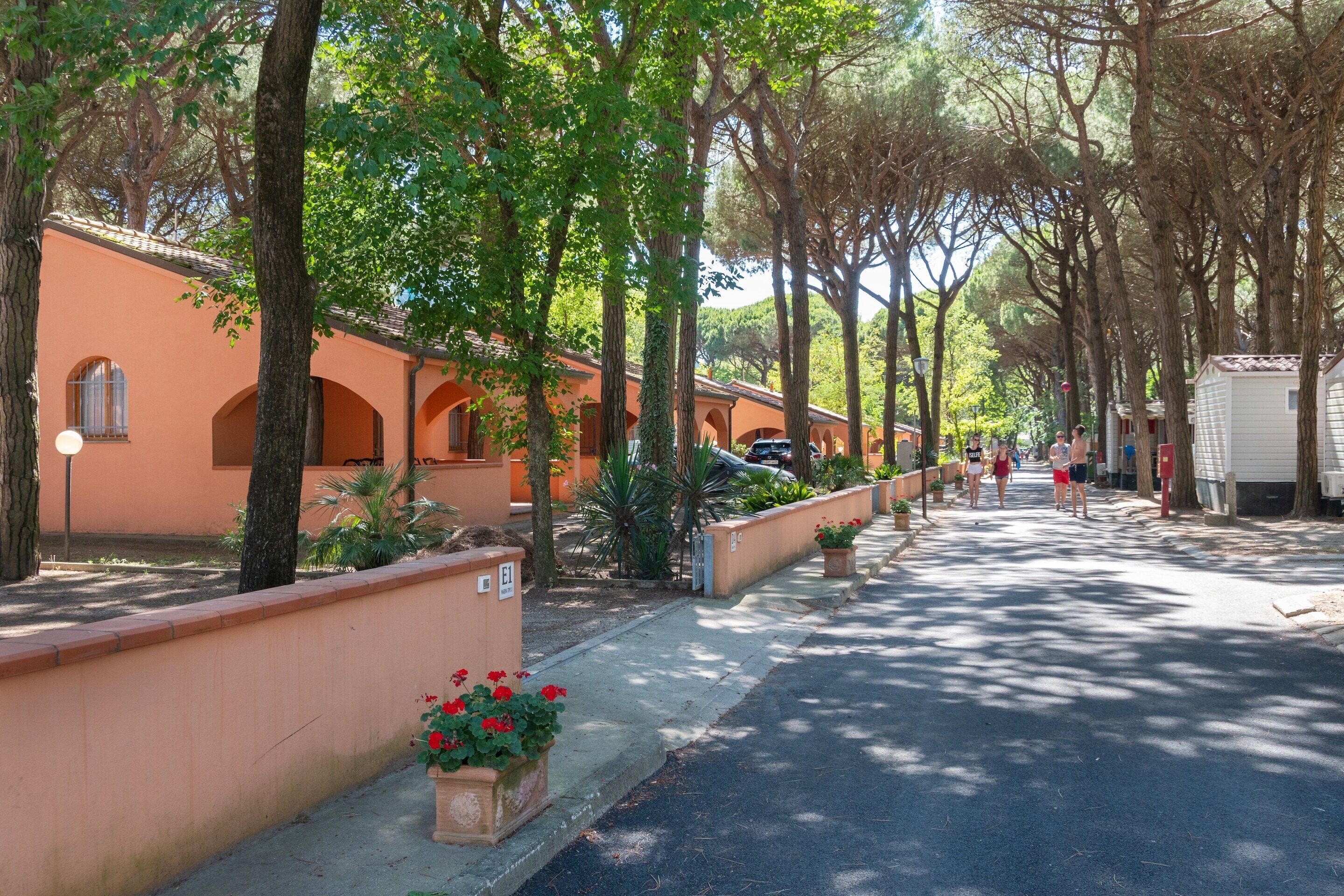 A tree-lined street with residential buildings, a sidewalk, and a parked car.