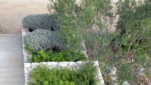 A landscaped garden with a stone pathway leading to a set of stairs. - Holiday Home in Veli Rat Near Saharun (Sali)