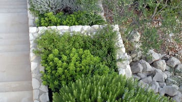 Casa | Jardín