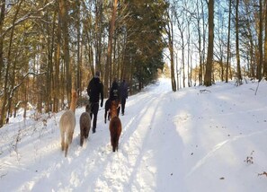 House | View from property