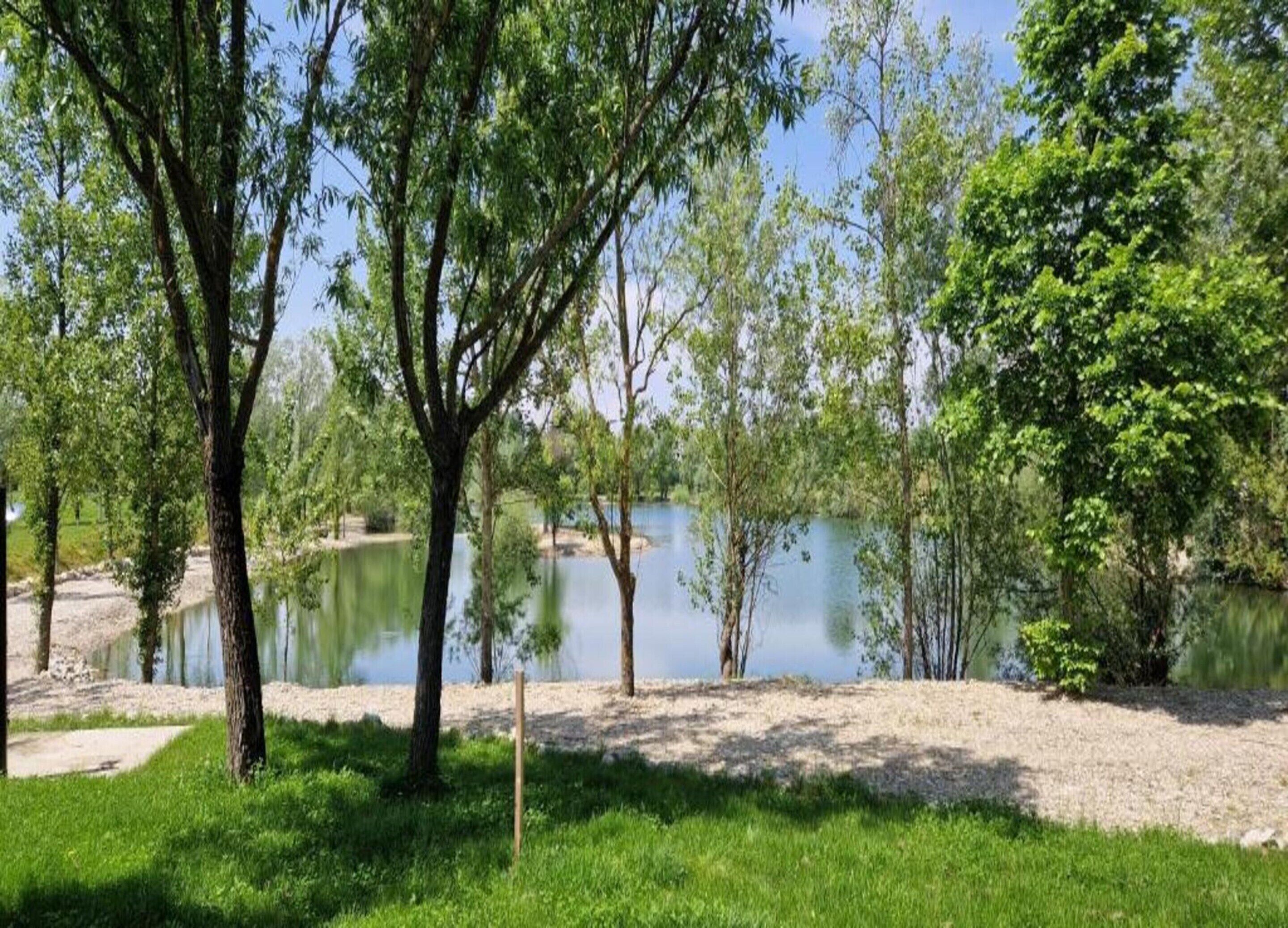 A serene lakeside setting with trees and a sandy shore.