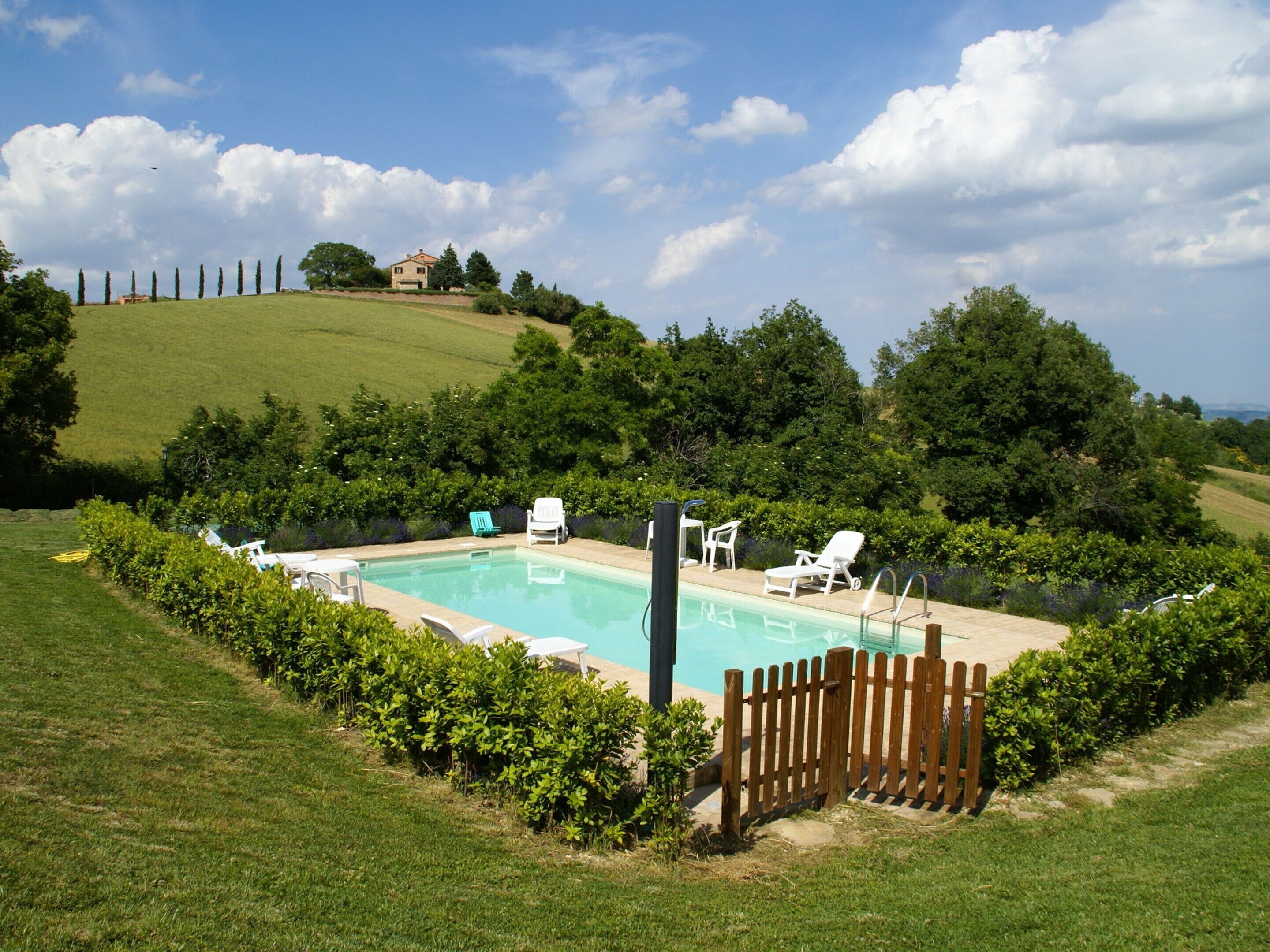 Una piscina rectangular con cerramiento de madera, rodeada de abundante vegetación y una colina al fondo.