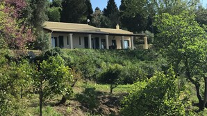 A house with a tiled roof, surrounded by dense greenery and trees. - Comfy Apartment in Vinkuran With the Beach Nearby (Corfu)