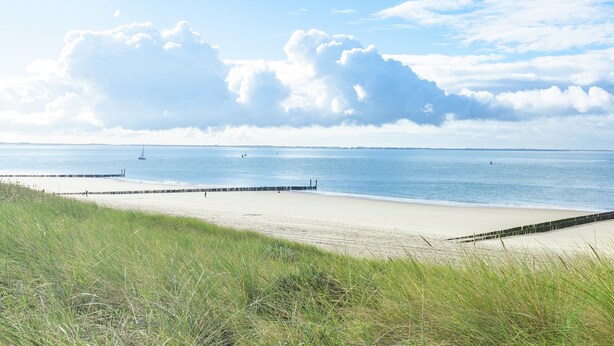 A beach with a grassy foreground, a sandy shore, and a calm sea. - Beautiful Holiday Home Zeeroos in Zeeland (Koudekerke)