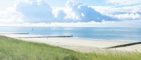 House | View from property