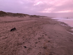 View from property - Chic Beachside Stay w/ Sauna (Julianadorp)