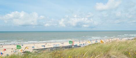 House | View from property