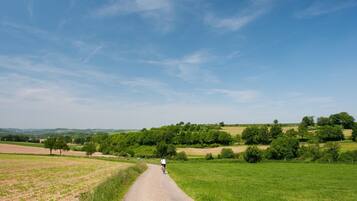 A rural road with greenery on both sides, a clear sky, and distant hills.