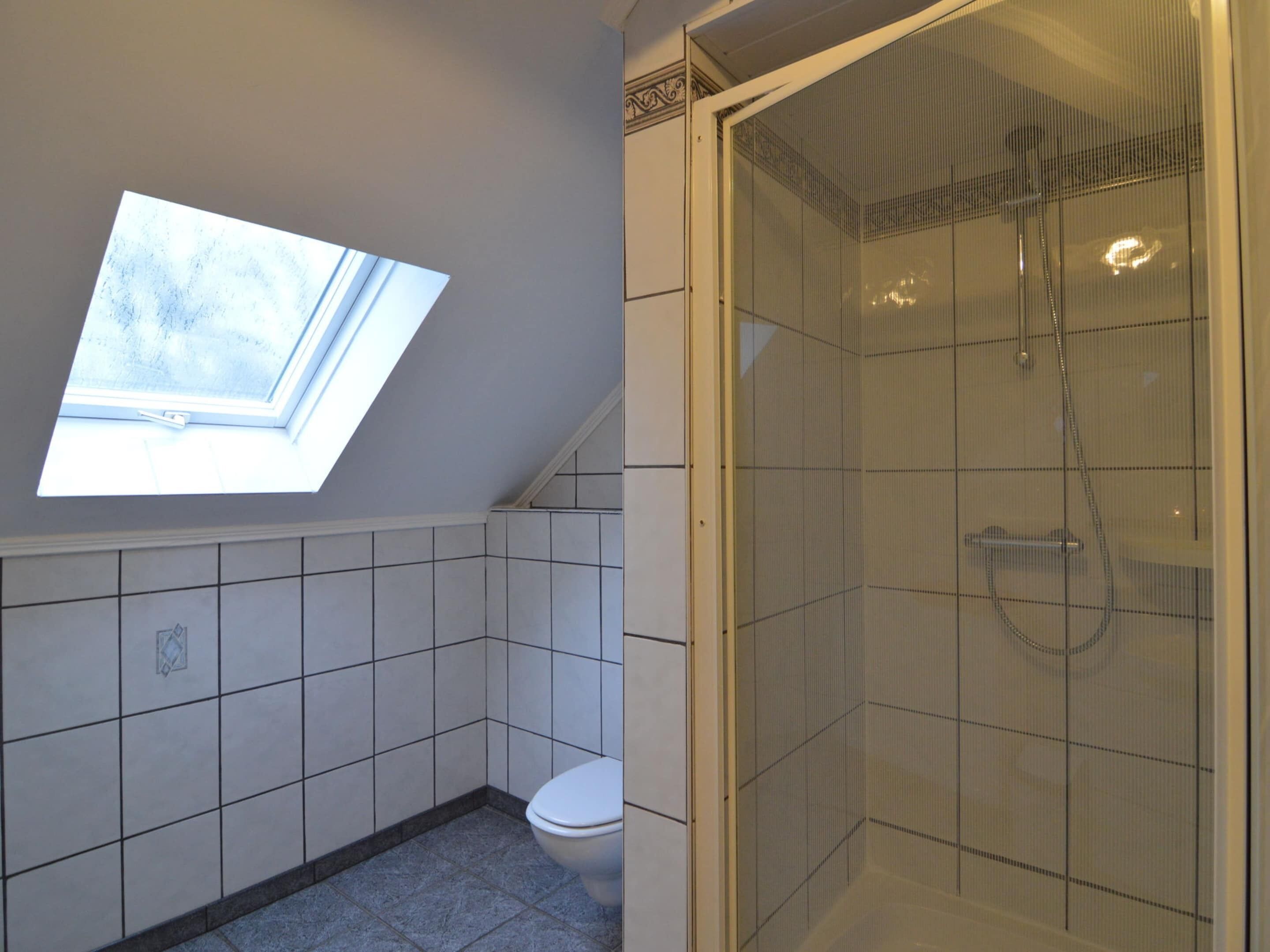 A bathroom with a skylight, a toilet, and a glass-enclosed shower.