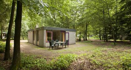 Tidy Bungalow Near the Veluwe