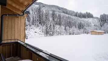 Chalet | View from property