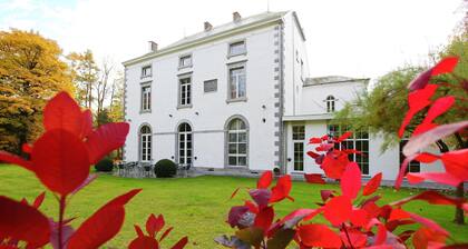 Luxurious Mettet Mansion