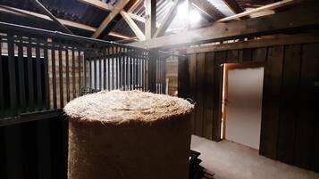 Cottage | Bahagian dalam