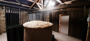 平房 | 住宿內部