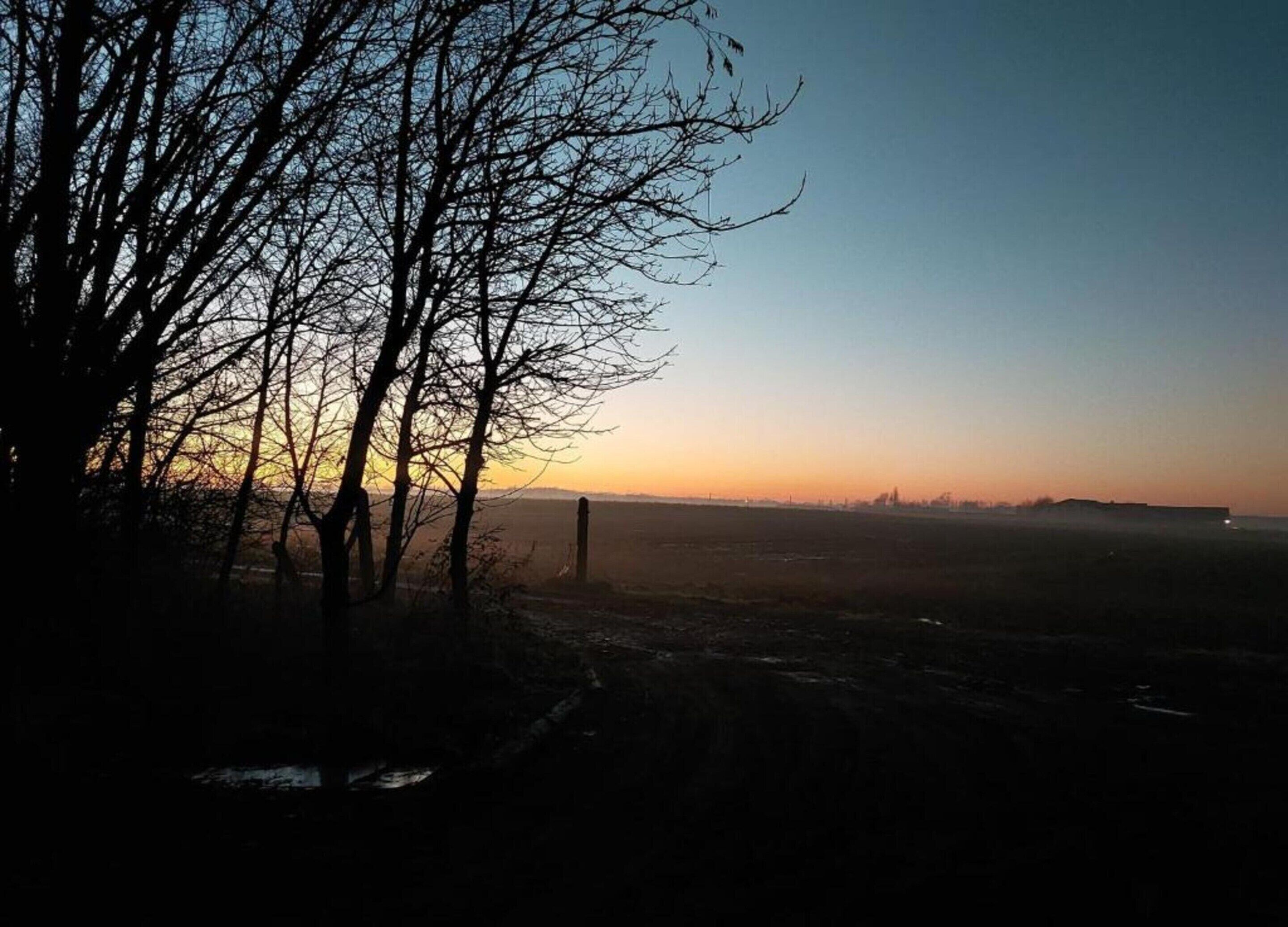 A landscape with a clear sky, a distant horizon, and leafless trees.