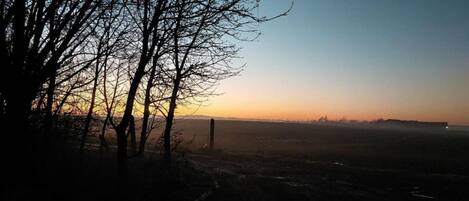 A landscape with a clear sky, a distant horizon, and leafless trees.
