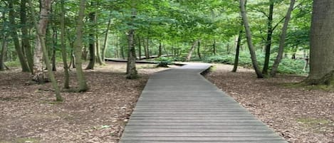 Maison | Vue depuis lâhĂ©bergement