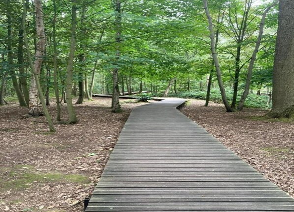 独立别墅 | 住宿景观