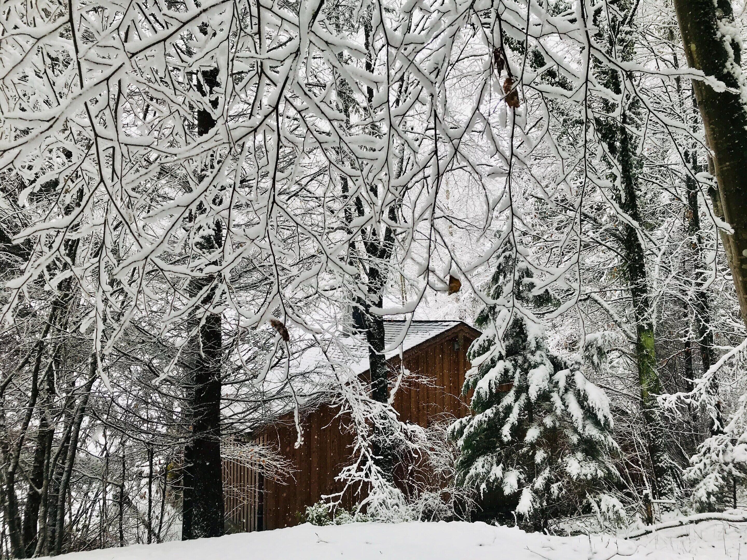 Ferienhaus | Blick von der Unterkunft