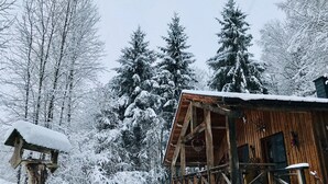 Un chalet rustique aux murs en bois, entouré d’arbres couverts de neige.