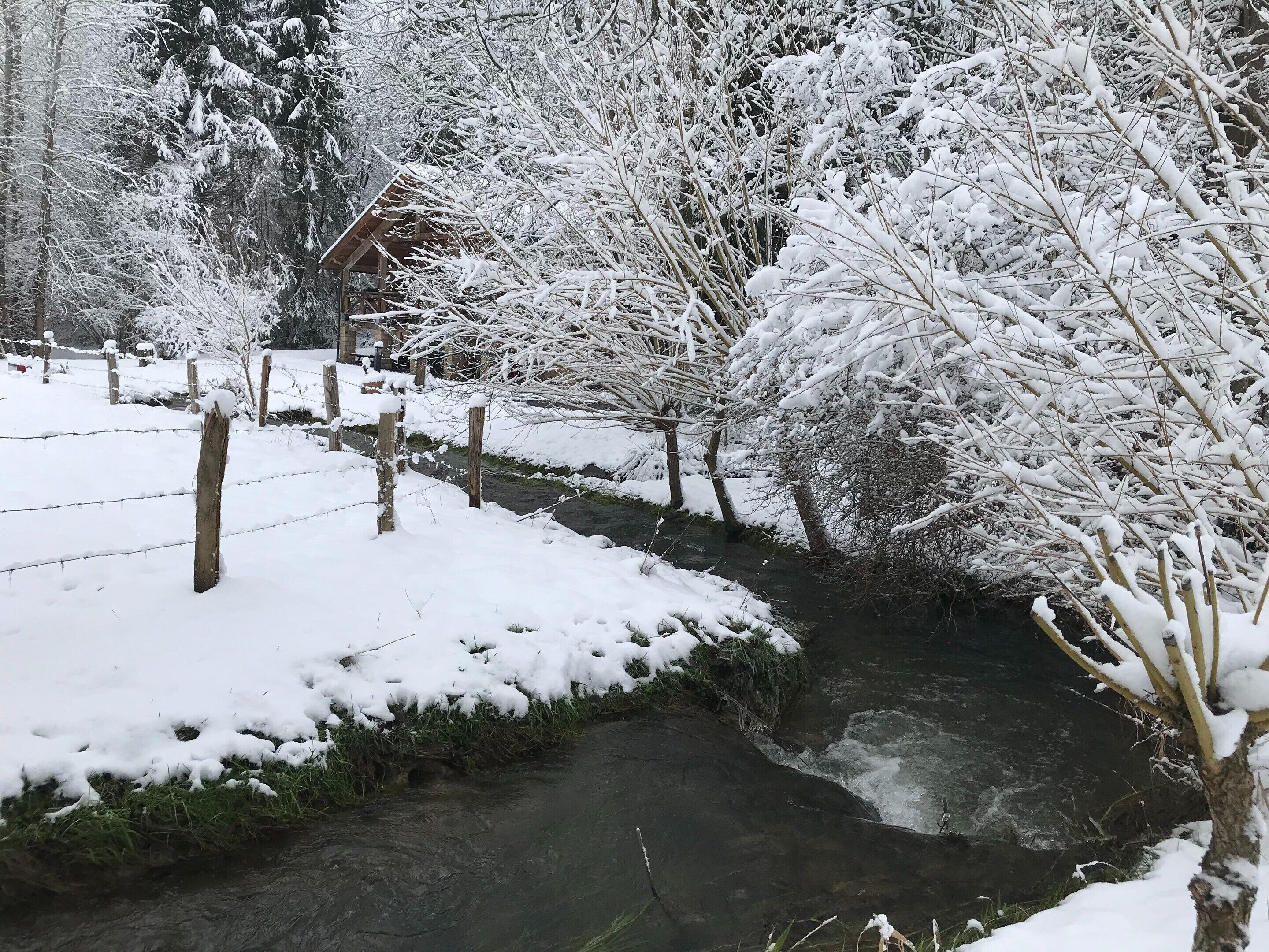 Vista desde la propiedad
