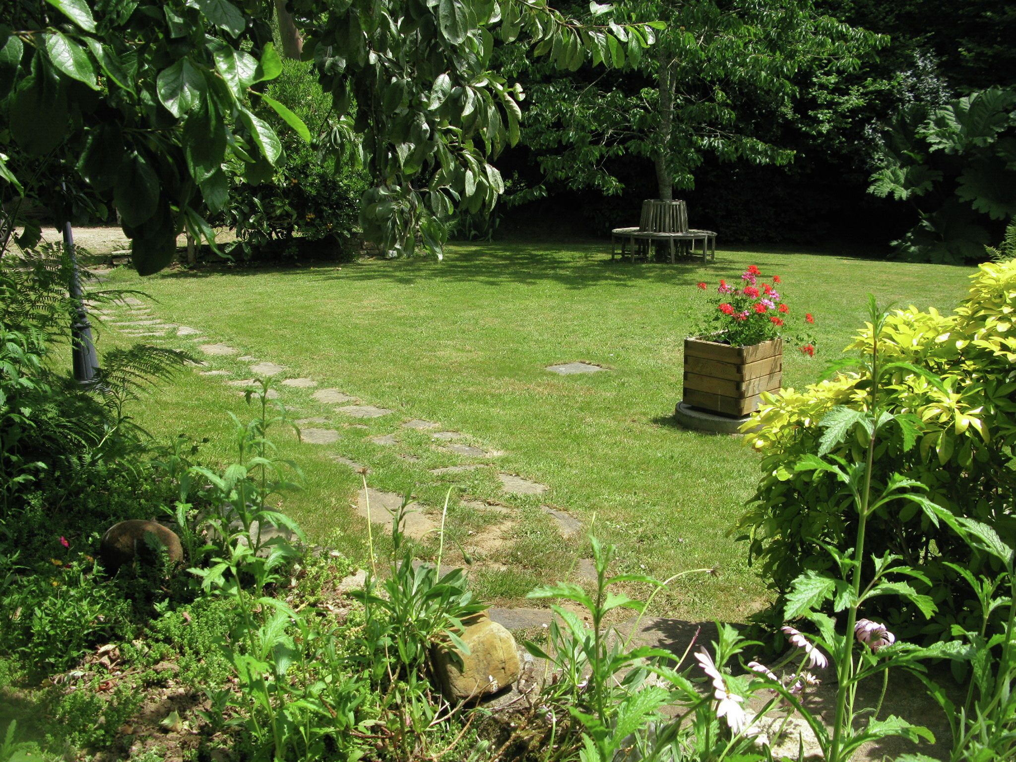 Garden
