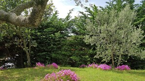 A garden with grass, trees, and purple flowers. - New Villa, Round Swimmingpool, Beautiful View (Saint-Laurent-de-Carnols)