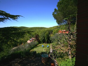 Casa | Jardín