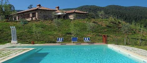 House | Pool | Outdoor pool