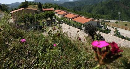 Beautiful Home With Terrace, Located in Nature