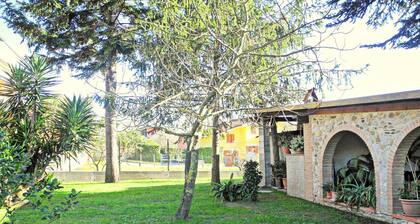 Cosy Cottage in Piano di Mommio With Private Garden