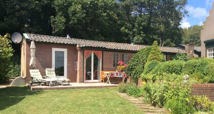 Tranquil Egmond Hideaway