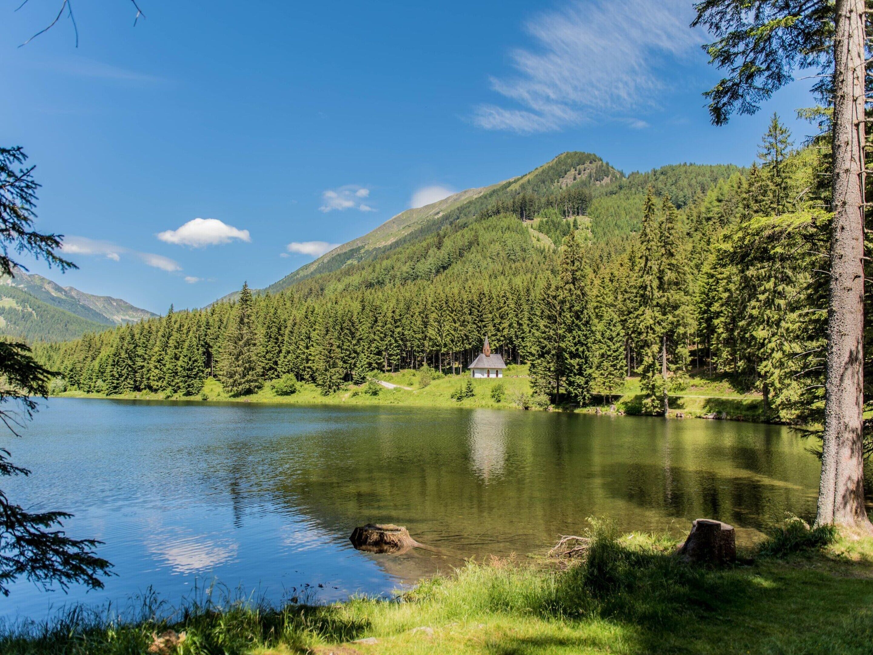 Ein ruhiger See, umgeben von dichtem Wald und Bergen.