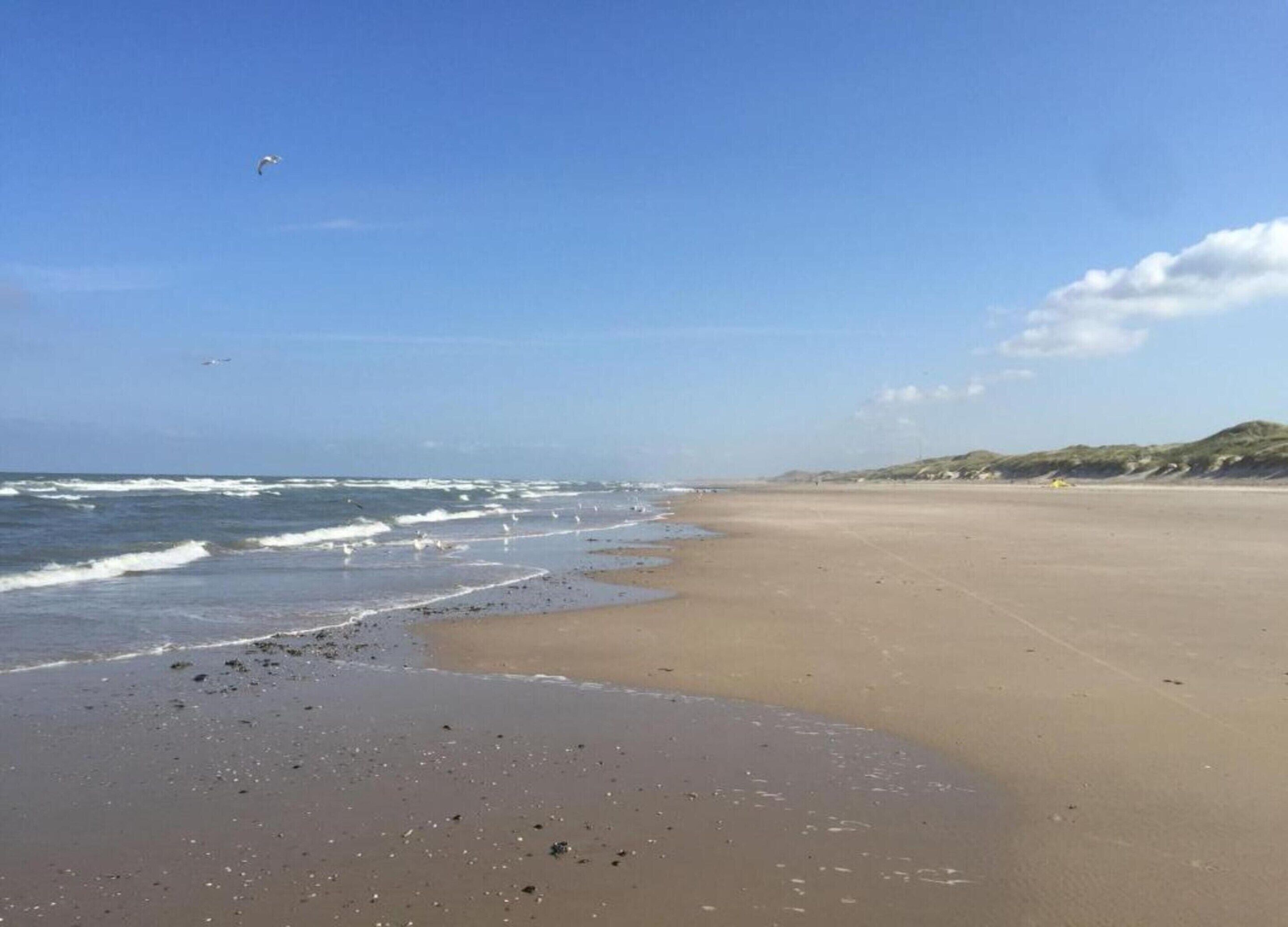 House | View from property