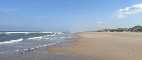 House | View from property